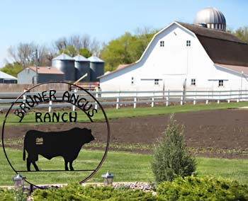 Bruner Angus Ranch in the spring