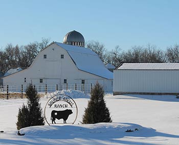 Bruner Angus Ranch in the winter